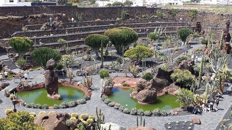 Cactus garden in Guatiza