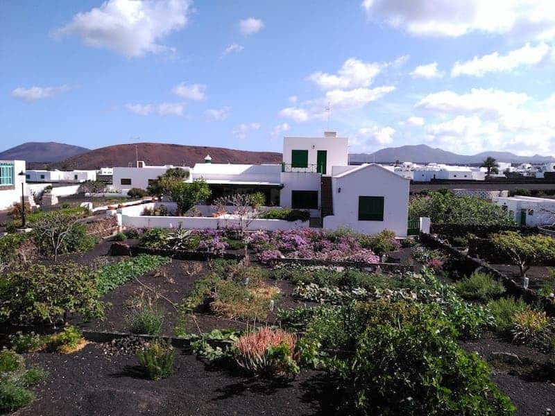 Canary houses in Yaiza