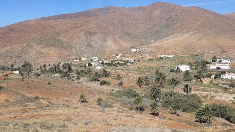 Palm Grove of the Vega del Rio Palma