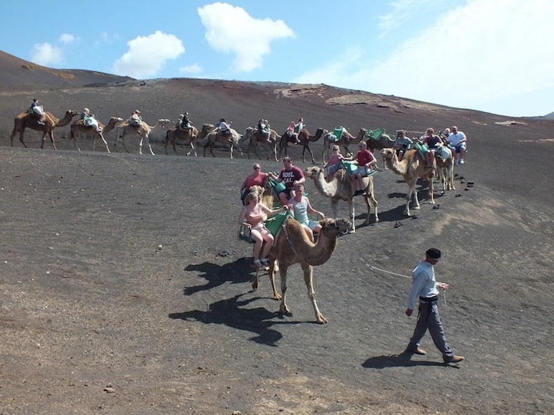 Paseo a camello por el Parque Nacional de Timanfaya