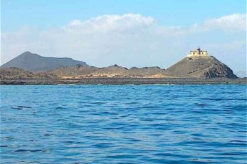 Isla de lobos tour