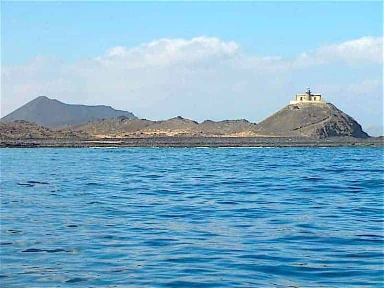 Excursión a la Isla de Lobos + avistamiento de delfines