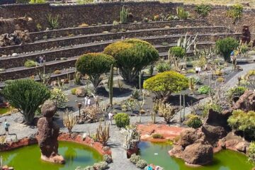 Premium Tour - Cactus Garden in Lanzarote