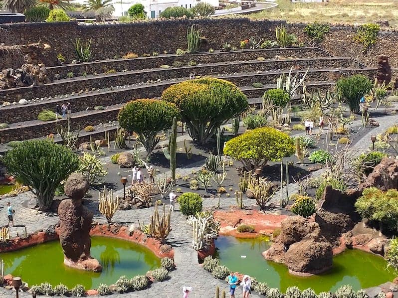 Excursión Premium - Jardín de Cactus