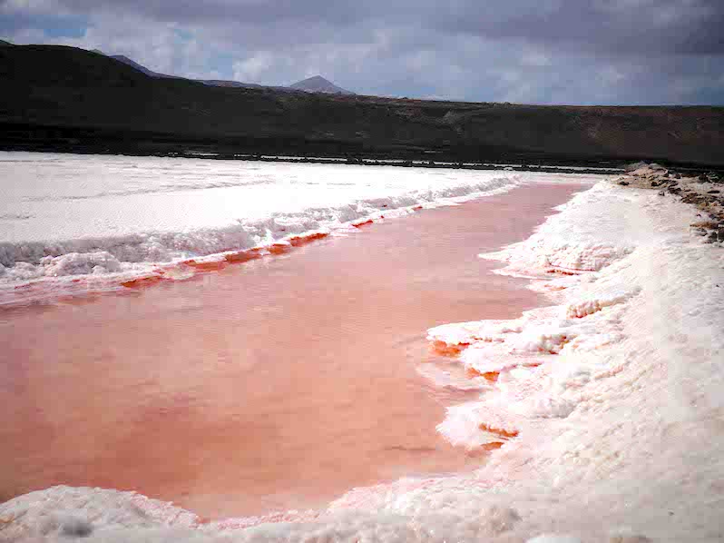 salinas janubio