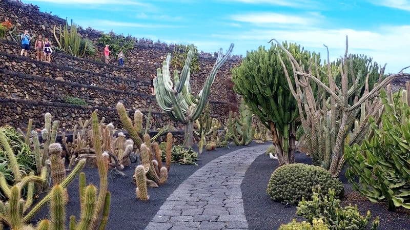 Jardín de Cáctus de Cesar Manrique