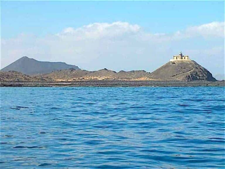 Excursión a la Isla de Lobos + avistamiento de delfines